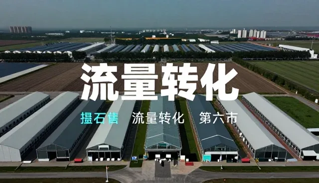 网络推广系统稳定性对流量转化的影响分析